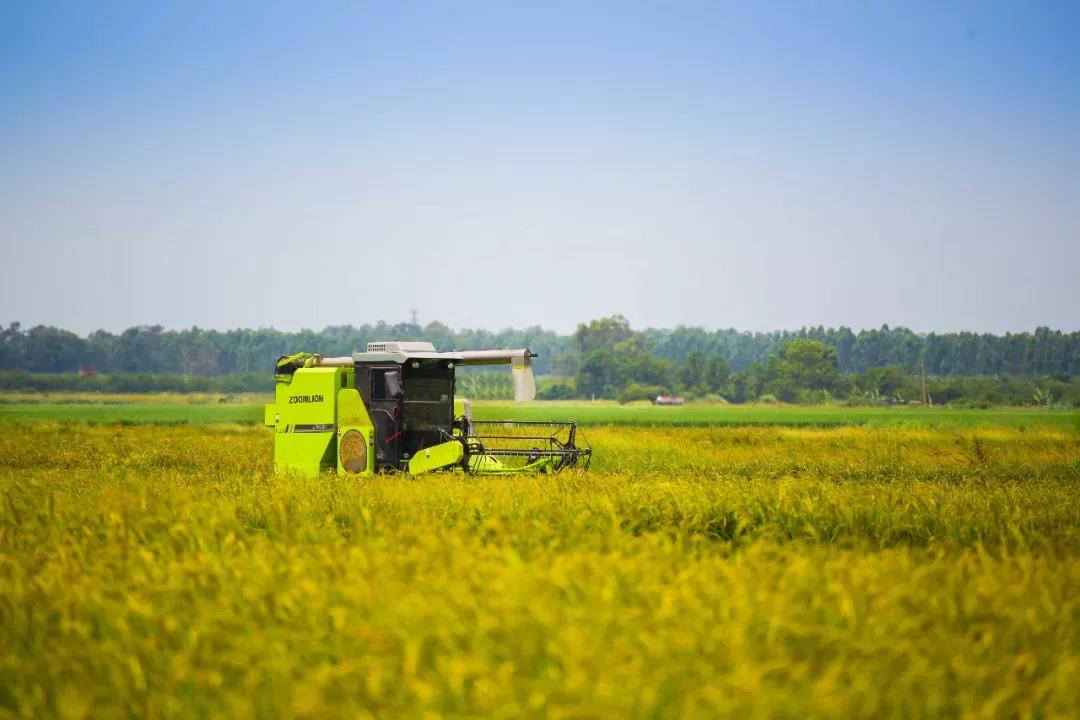 Ê×Ò³| ×ðÁú¼¯ÍÅÖйú¹Ù·½ÍøÕ¾